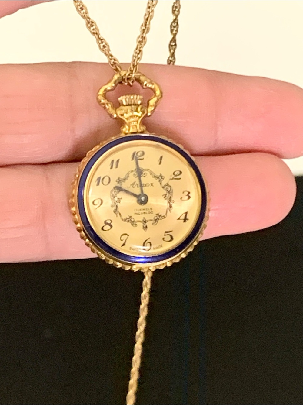 Vintage Arnex 17 Jewels Swiss Pendant Watch Blue Guilloche Enamel Edelweiss - RU
